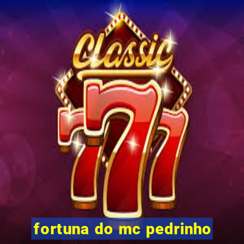 fortuna do mc pedrinho